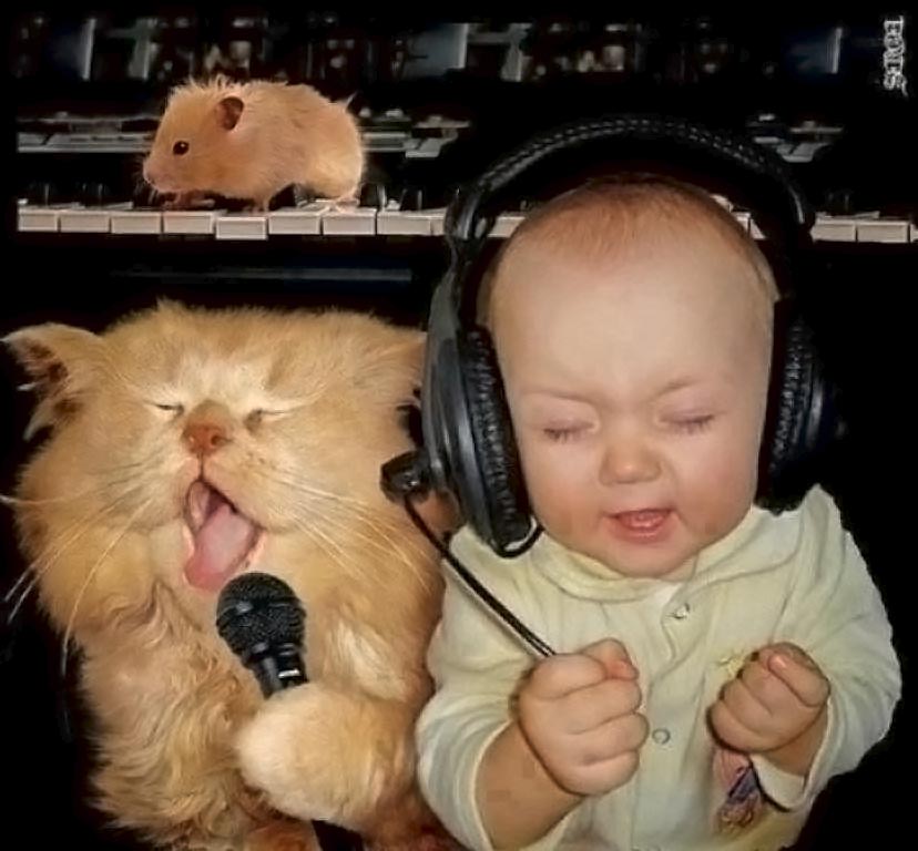 Кот и мальчик в наушниках поют в микрофоны