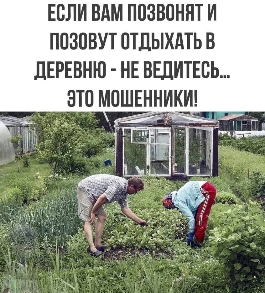 Отдых на даче юмор картинки